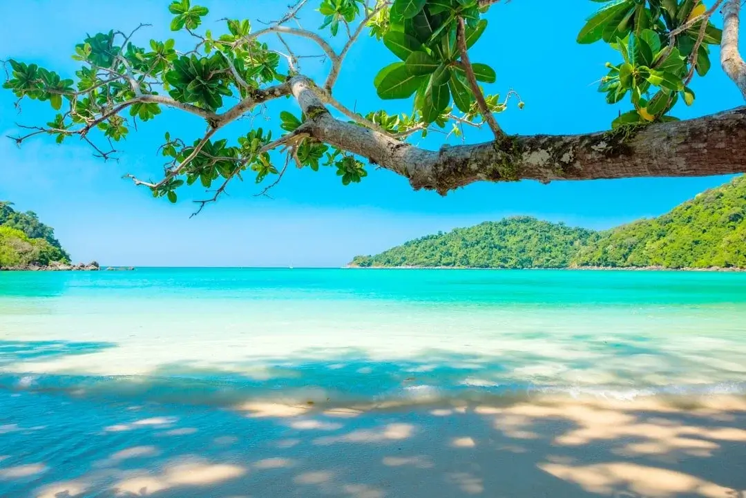 Beach in Las Terrenas Samana