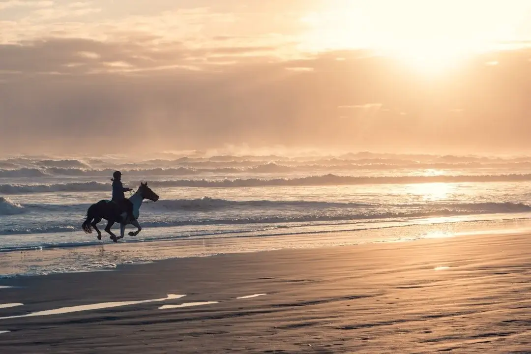 Horse riding on the beach at sunset Las Terrenas