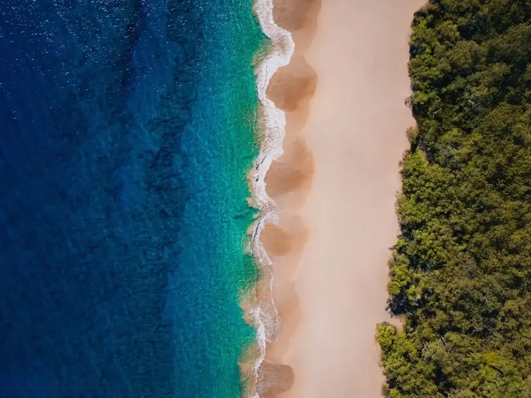 Investment Properties